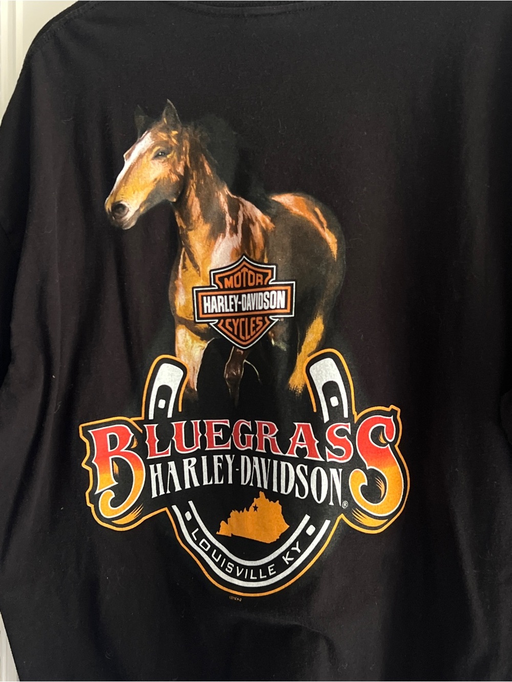 Harley-Davidson Black Men’s Tee with Brown Horse and Orange-Red Bluegrass Logo